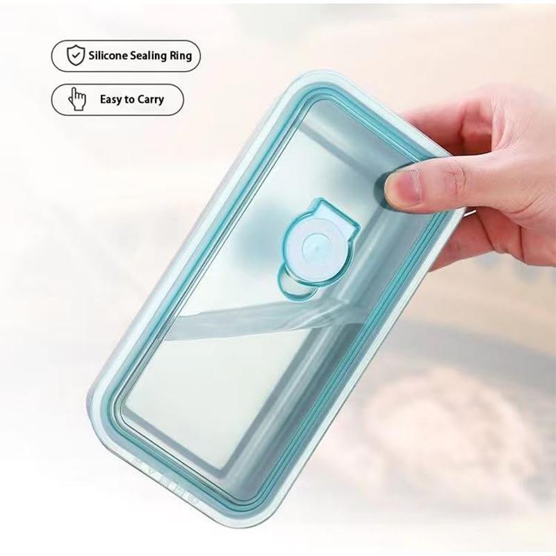 Portable Stainless Steel Fresh - Bento Box review and price